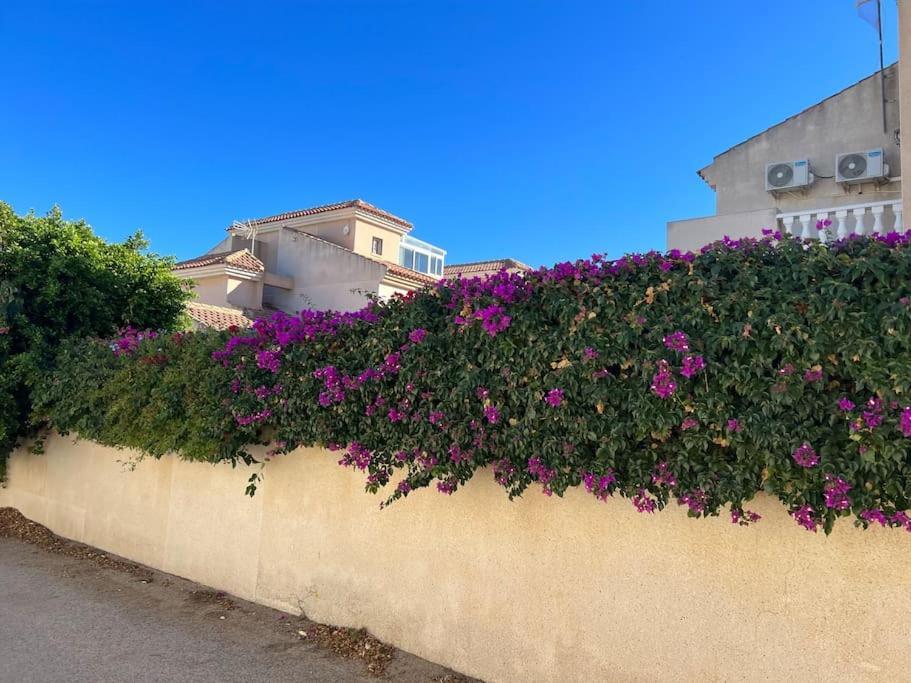 Club Salino 18 Apartment Торевиеха Екстериор снимка