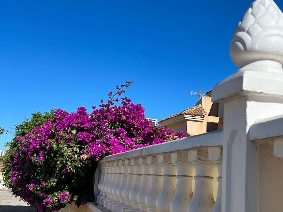 Club Salino 18 Apartment Торевиеха Екстериор снимка